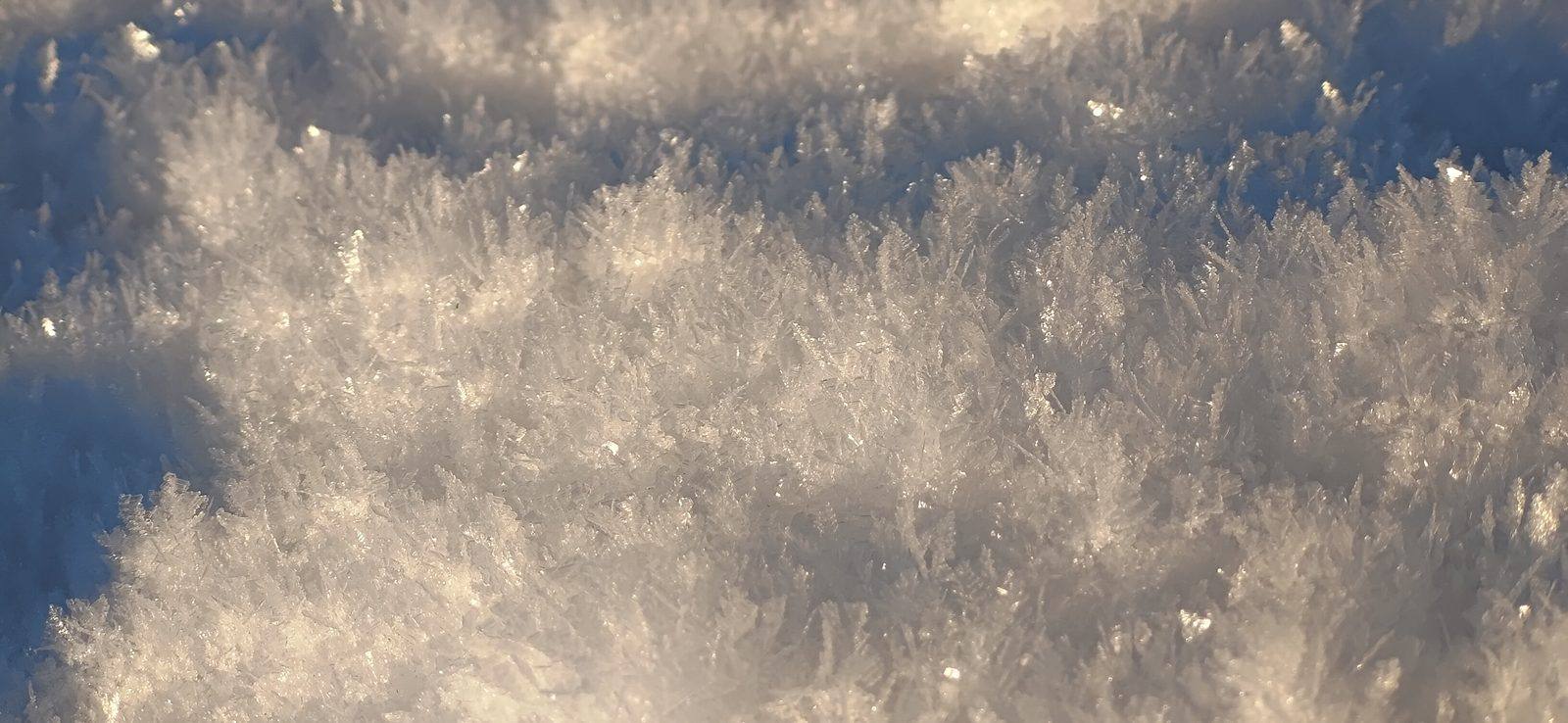 A macro view of feathery ice crystals catching the sunlight.